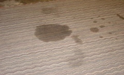 oil stain on carpet oil stain on carpet